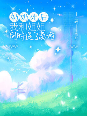 奶奶死后,我和姐姐同时提了离婚在线阅读