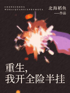 重生,我开全险半挂在线阅读