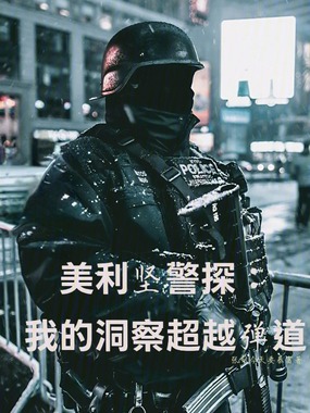 美利坚警探:我的洞察超越弹道在线阅读