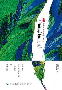 七根孔雀羽毛
