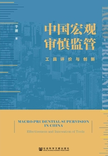 中國宏觀審慎監管：工具評價與創新