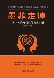 墨菲定律(現(xiàn)象級(jí)暢銷書)