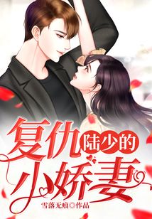 陆少的复仇小娇妻