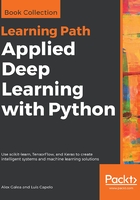 Applied Deep Learning with Python在线阅读