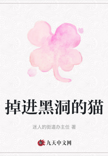 掉進(jìn)黑洞的貓