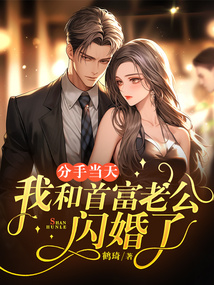 分手當(dāng)天,我和首富老公閃婚了