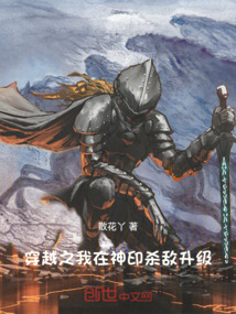 穿越之我在神印殺敵升級
