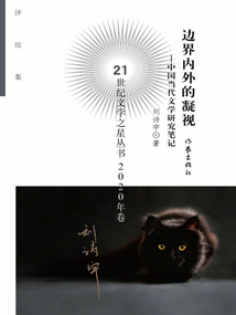 邊界內外的凝視:中國當代文學研究筆記
