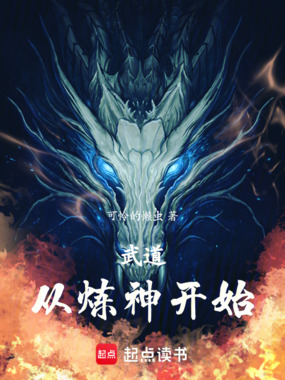 武道从炼神开始在线阅读