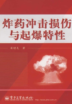 炸药冲击损伤与起爆特性 封面