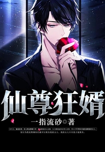 仙尊狂婿