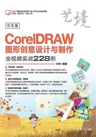 中文版CorelDRAW图形创意设计与制作全视频实战228例