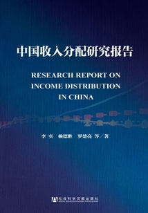 中國收入分配研究報告