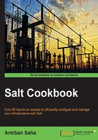 Salt Cookbook在線閱讀