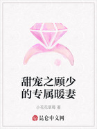 甜宠之顾少的专属暖妻在线阅读