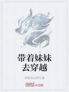 带着妹妹去穿越在线阅读