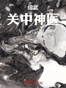 综武：关中神医