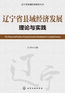 遼寧省縣域經濟發展理論與實踐
