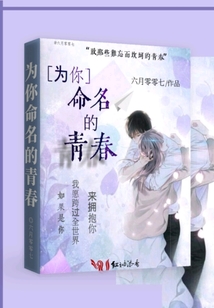 為你命名的青春