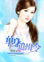 单身追缉令
