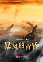 暴风的黄昏