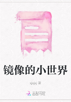 鏡像的小世界在線閱讀