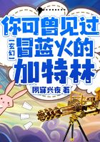 玄幻：你可曾見過冒藍火的加特林在線閱讀