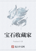 宝石收藏家在线阅读
