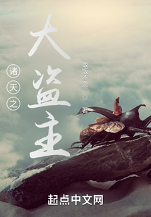 诸天之大盗主