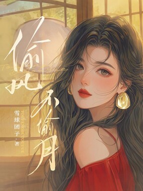 偷风不偷月在线阅读