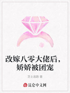 改嫁八零大佬后,娇娇被团宠在线阅读
