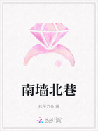 南墙北巷在线阅读
