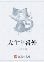 大主宰番外在線閱讀