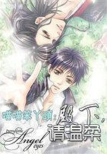 喵喵笨丫頭：殿下請溫柔