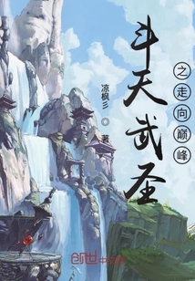 斗天武圣之走向巔峰