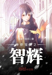 神奇宝贝之智辉在线阅读