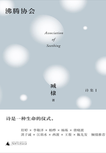 臧棣詩系：沸騰協(xié)會(huì)