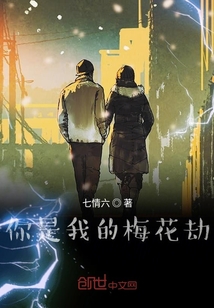 你是我的梅花劫