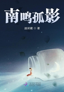 南鳴孤影