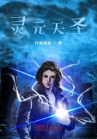 灵元天圣在线阅读