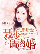 先婚后愛：聶少，請離婚在線閱讀