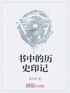 书中的历史印记在线阅读