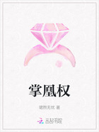 掌凰权在线阅读