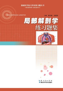 局部解剖學練習題集（基礎醫學復習考試練習題叢書）