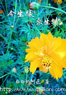 我的夫君叫尊上