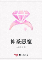 神圣惡魔在線閱讀