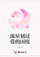 流星劃過愛的國度在線閱讀