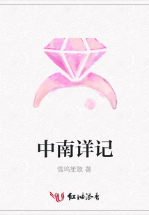 中南详记