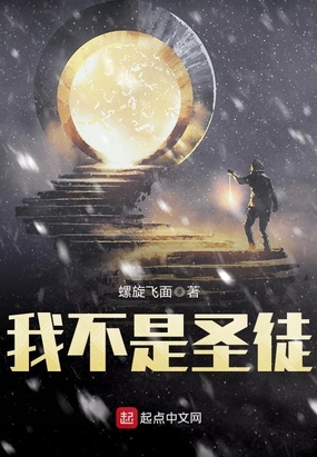 我不是圣徒在线阅读