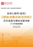 咨询工程师（投资）《项目决策分析与评价》历年真题与模拟试题详解[7小时视频讲解]